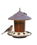 Bird Feeder