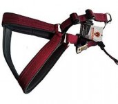 Dog Harness