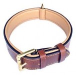 Animal Collar