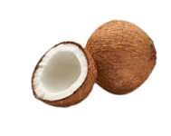 Coconut