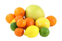 Citrus Fruit