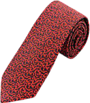 Printed Ties