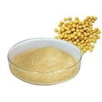 Soybean Extract