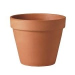 Plant Pots