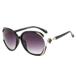 Ladies Sunglasse