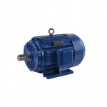 AC Motor