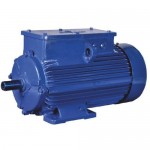 Variable Motor