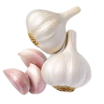 Fresh Garlic